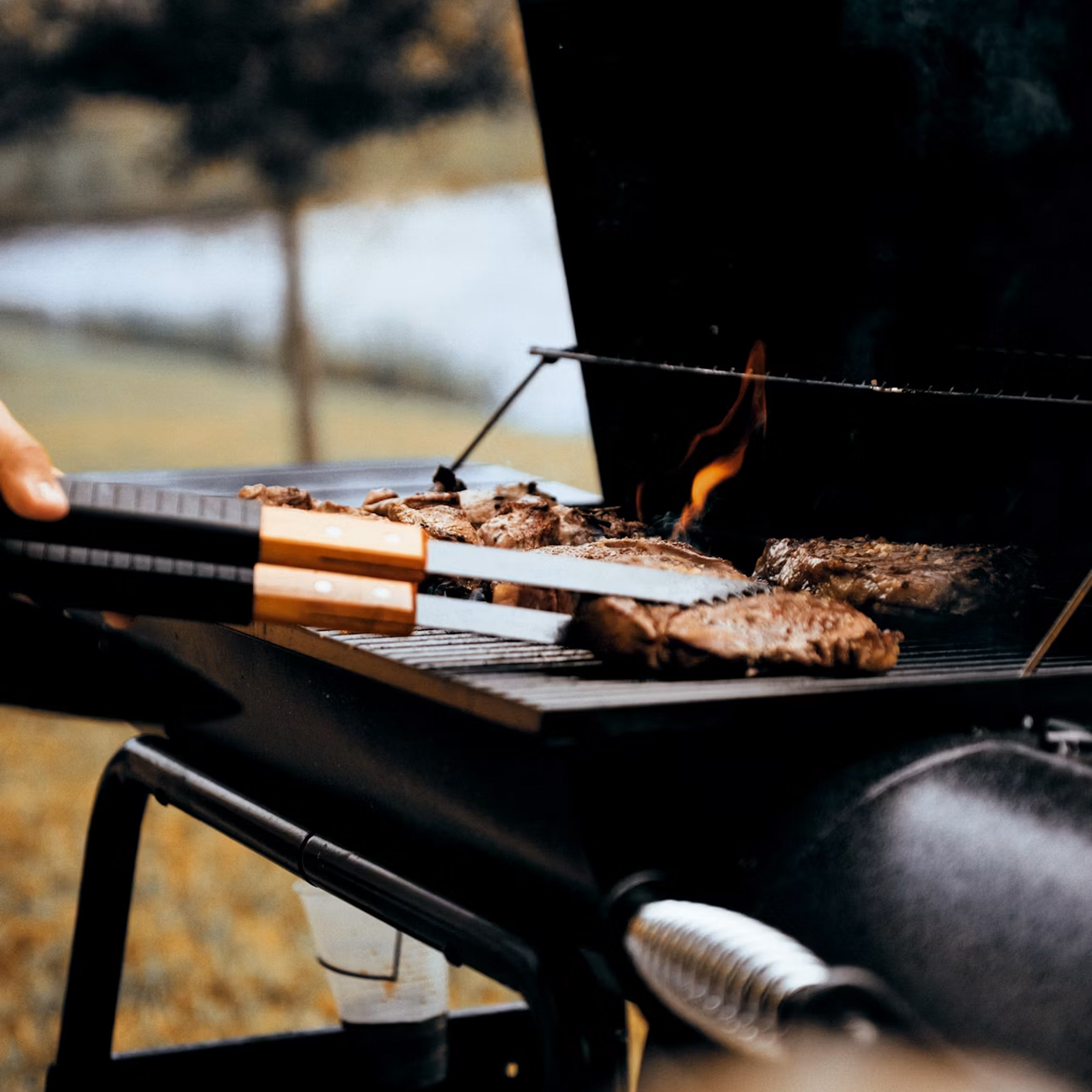 BBQ & Outdoor Cooking