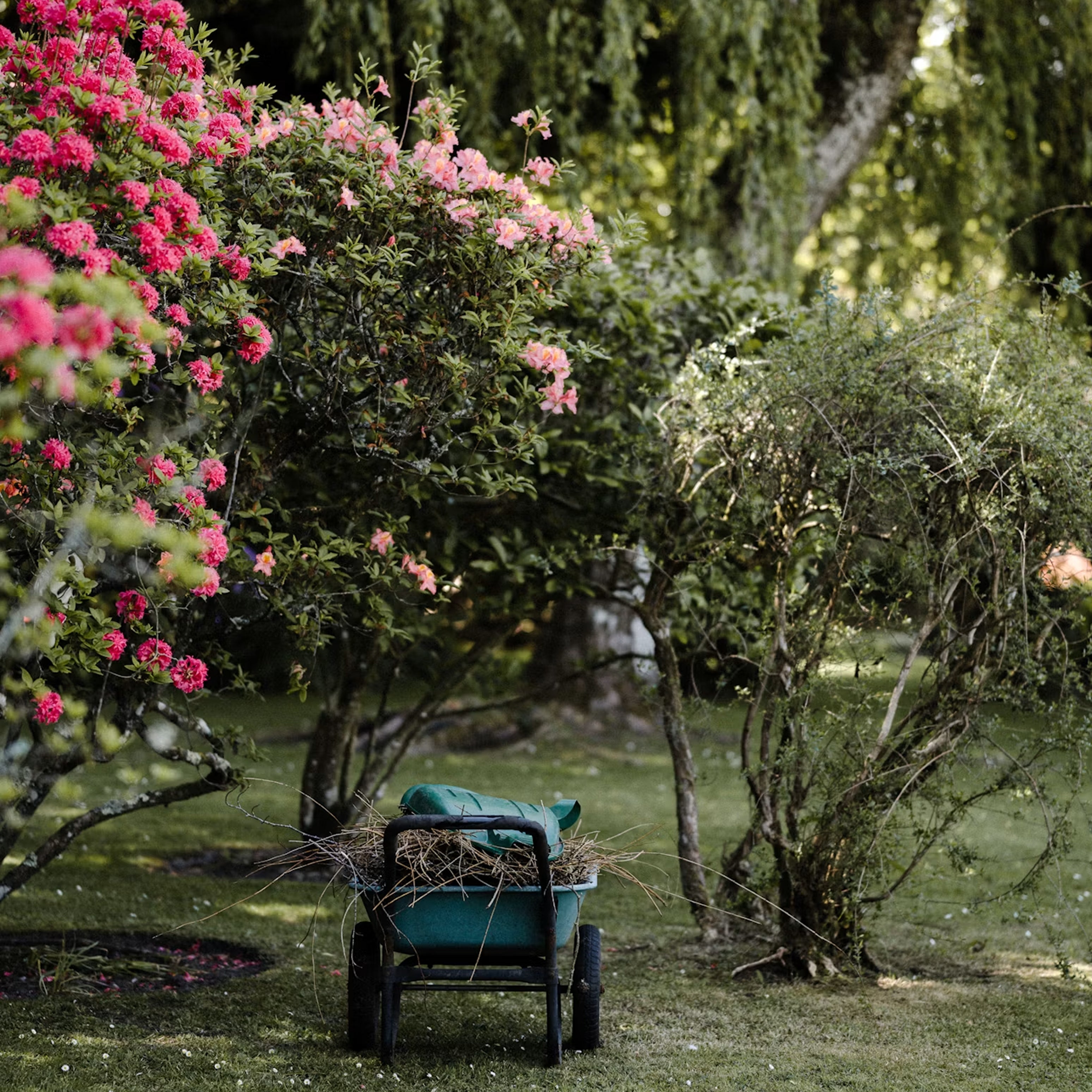 Gardening & Lawn Care