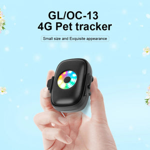 DogFenly GPS Dog Collar