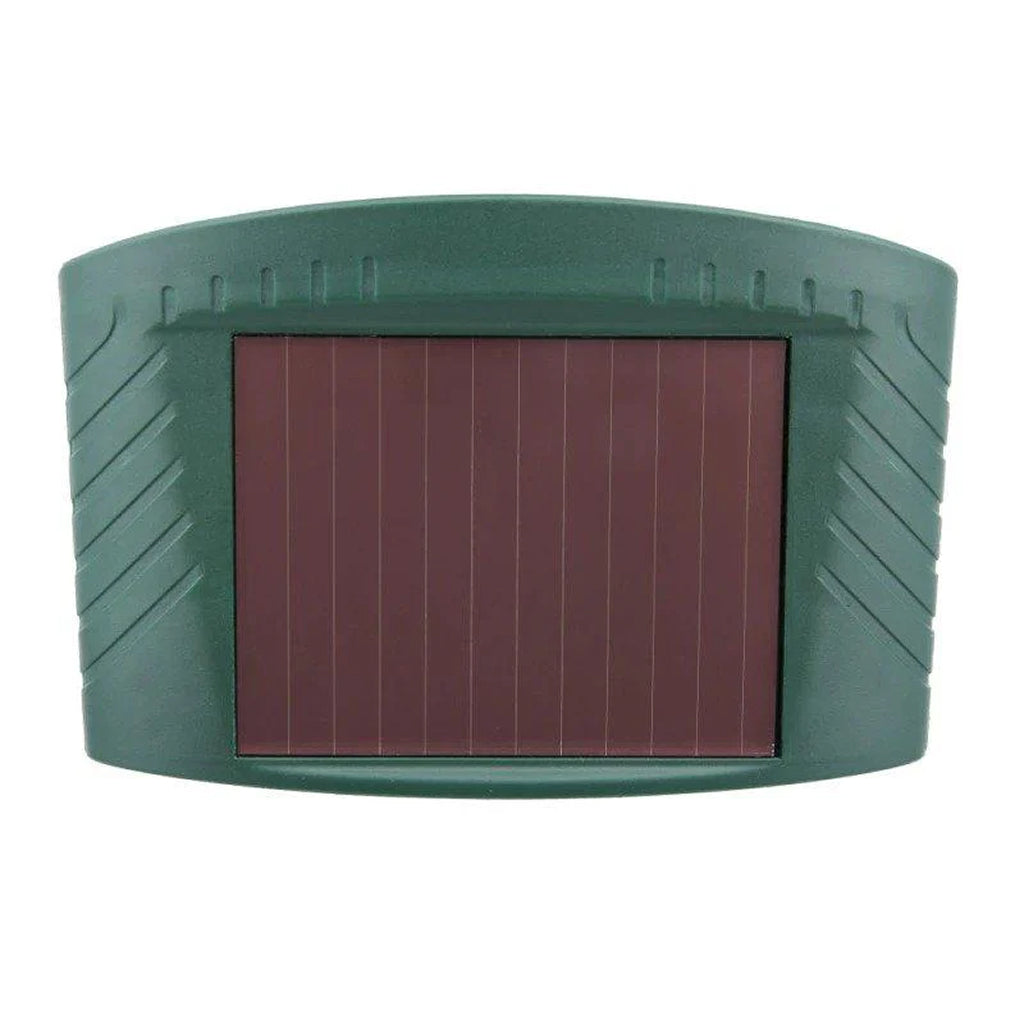 PestiqPaw Squirrel Deterrent