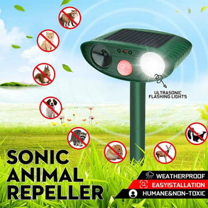 PestiqPaw Squirrel Deterrent