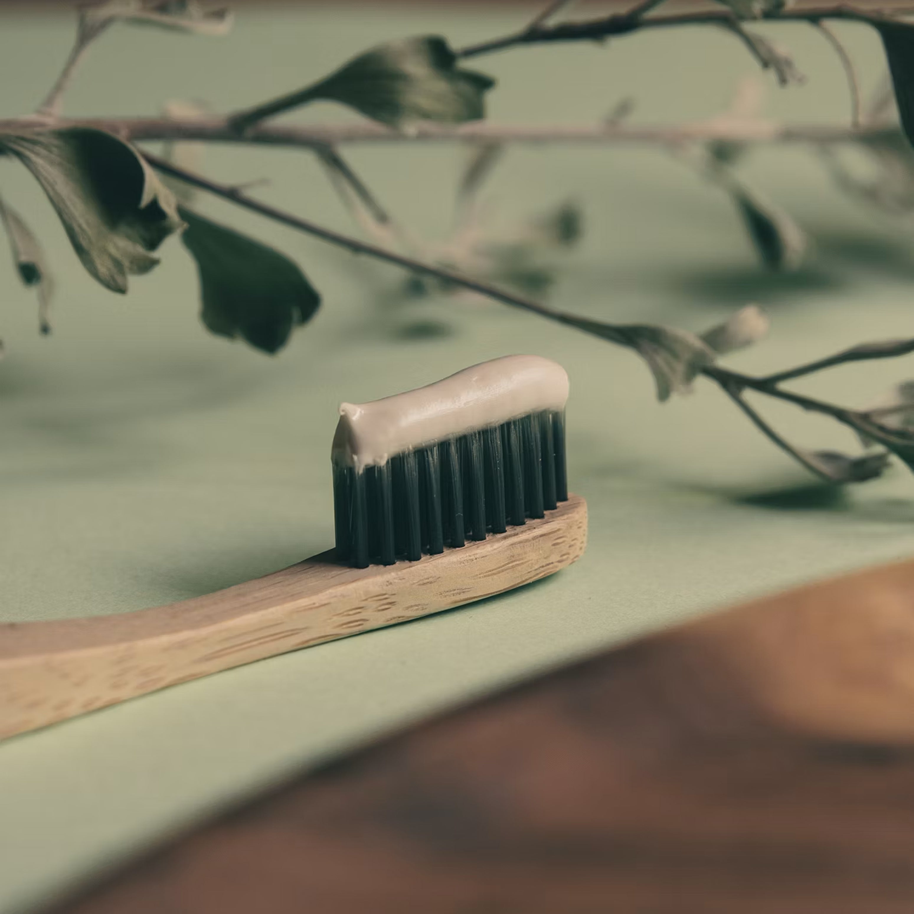 Oral Care & Hygiene
