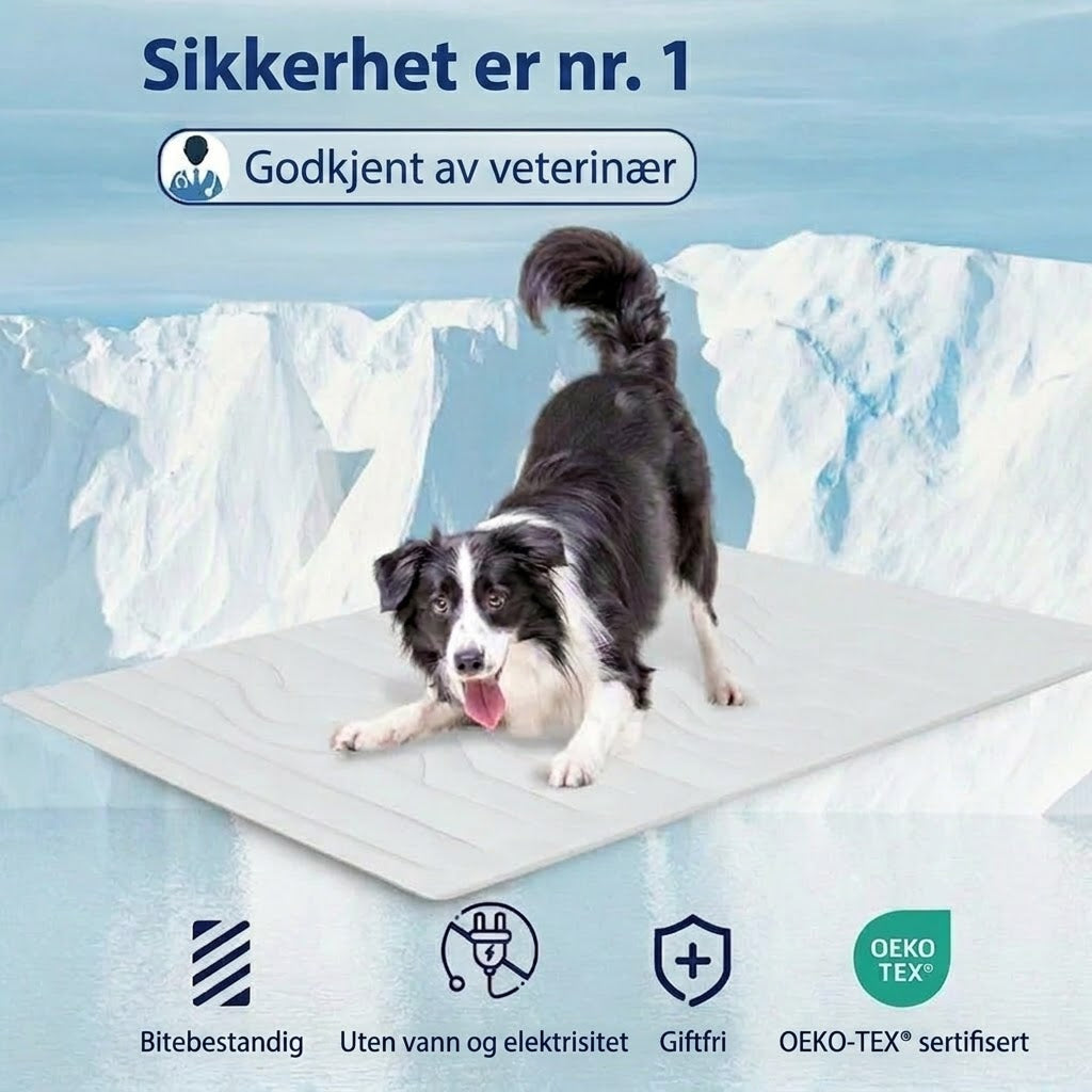 PawFroste