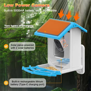 Chirpyq Smart Fuglemater
