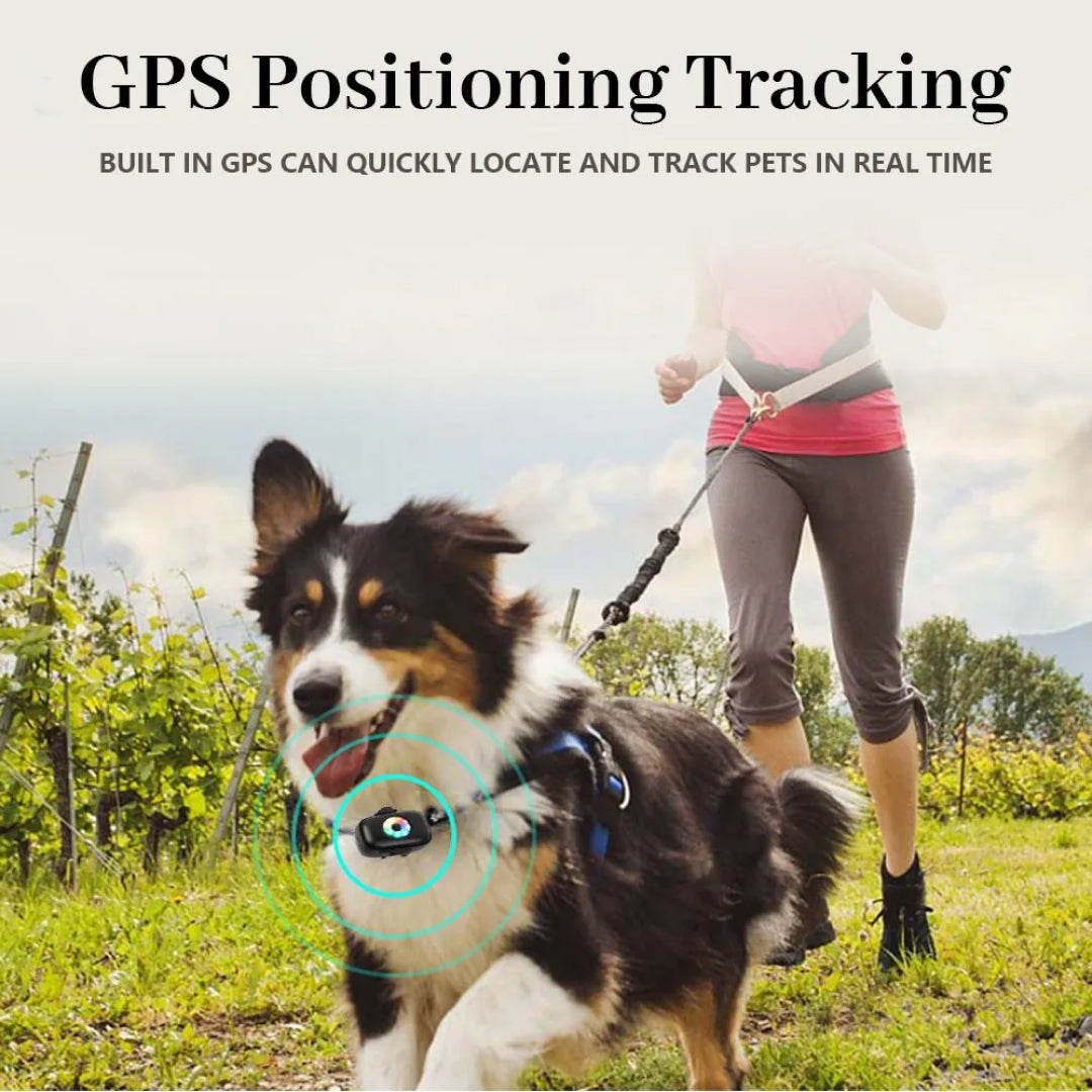 CatMaxe kattehalsbånd Med GPS