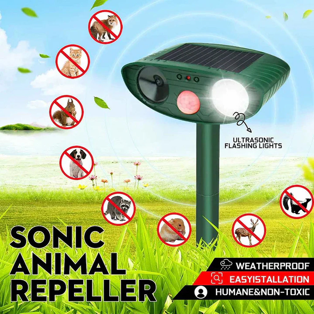 PestiqPaw Squirrel Deterrent