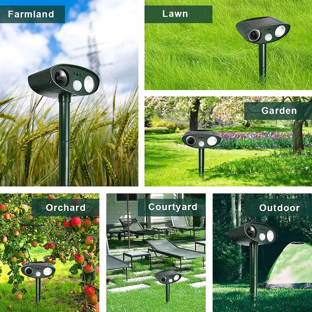 PestiqPaw Squirrel Deterrent
